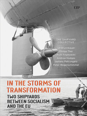 cover image of In the Storms of Transformation
